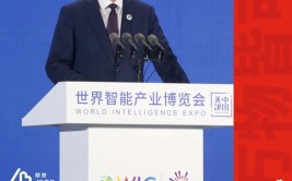杨元庆最新演讲：“肴杂式人工智能”将成为局面所趋