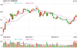 “上车”不易 鼎泰高科压力待解