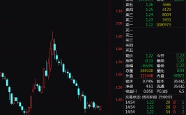 东方团体
跌停！民生银行紧张
股东有退市风险