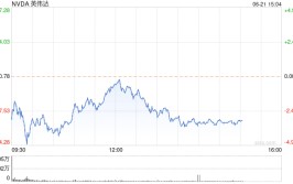 英伟达两天市值蒸发2000亿美元 根本
面没任何题目

