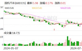 国机汽车：推举
戴旻为公司董事长