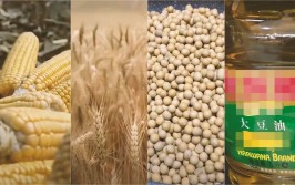 环球
市场震动：CBOT持仓大变动与国际产量猜测
引发期货代价
颠簸
