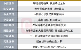 A股调解
或已进入尾声？投资主线有哪些？十大券商战略来了