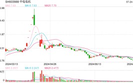 中电电机控制权变动
前夕涨停，是偶合
还是有信息泄漏
？