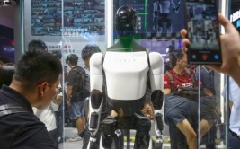 前Meta高管：埃隆·马斯克的特斯拉呆板
人短期内不会失控