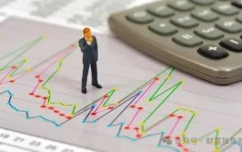 长安基金袁苇旗下基金亏损达68.20%，风控制度引质疑