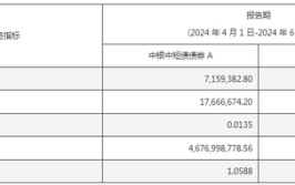 规模大增！资金涌入短债基金