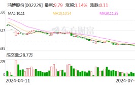 鸿博股份：预计2024年上半年净利润亏损3480万元~4350万元