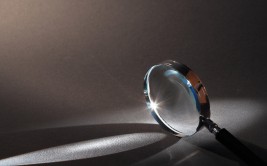 2022、2023年年报出现多处错漏，永安林业及董秘连收羁系
函、警示函