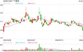 三平台驶向港交所 网约车竞逐资源
赛道