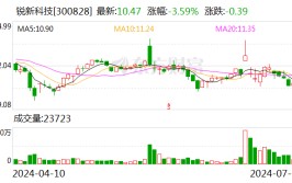 锐新科技：累计回购股份数量约为173万股
