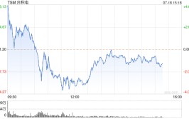 台积电ADR上涨 受第二季度利润优于预期和利润率预测
提振