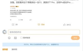 iQOO 13系列Pro版克制研发：标准版部分规格史诗级加强