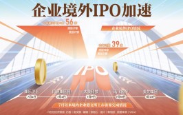 企业境外IPO加快
