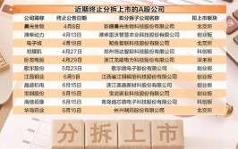 “A拆A”降温 17家公司停止
分拆上市筹划
