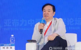广东长青董事长何启强：反对冒险创新，把本身
折腾死了非常不值得