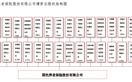 德国安联投资拟认购国民养老2%股份 外资反复
加码中国保险业 到底看中什么？