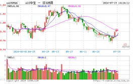 我国上半年GDP同比增长5%，A50ETF华宝（159596）涨0.1%，机构：设置
首选仍为A50