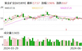 紫金矿业 庞大
利好！