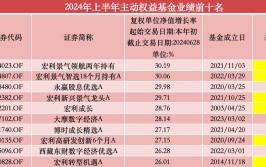 上半年权益“冠军基”涨超30%，超七成QDII产物
业绩飘红