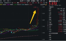 “木头姐”旗下基金月内累涨近17%！外洋
科技LOF（501312）场内再涨逾6%，迭创新高，成交突破2亿元