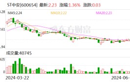 ST中安：申请取消公司股票其他风险警示
