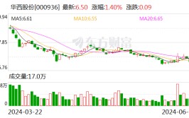 华西股份：拟转让索尔思光电部分股份