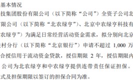 绿亨科技全资分公司
北农绿亨、中农绿亨拟分别向银行申请不高出1000万和不高出500万综合授信