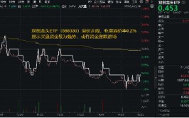 环球
最强超算工厂诞生，算力是GPT-4的20倍！国内扶持政策迭出，或有资金借路
双创龙头ETF（588330）出场
布局