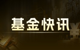万家匠心致远一年持有期肴杂A：净值0.7936元，近6个月收益率9.89%