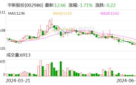 宇新股份：利润分配股权登记日为2024年6月27日