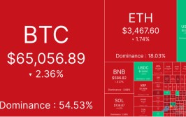 BTC挣扎于6.5万美元，盗窟
币市场血流成河
