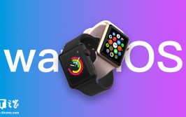苹果 watchOS 11 开辟
者预览版 Beta 3 发布