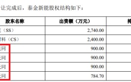 泰金新能IPO募资15亿元是净资产4倍 估值一年激增50亿员工持股平台浮盈30倍 大规模代持真实性待检