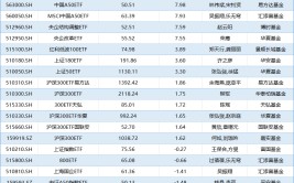 盘货
股票型ETF上半年业绩|“冠军ETF”涨幅超18%，首尾业绩差44%