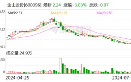 金山股份：拟将证券简称变动
为“华电辽能”