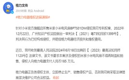 格力告小米官司“赢了”？小米：未收到相干
诉讼，格力再发声：小米持有侵权公司8%股权