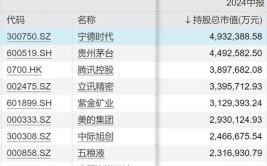 “新钱”不认“旧主”，“基金股王”们“风华不再”