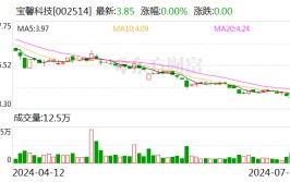 宝馨科技：预计2024年上半年净利润亏损7500万元~1.45亿元