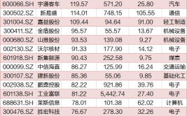 A股上半年牛熊股出炉！“牛股之王”大涨373%，“熊股之王”面对
退市风险
