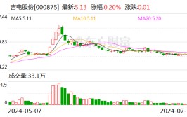 吉电股份：上半年净利润同比增逾两成 拟10派1.17元