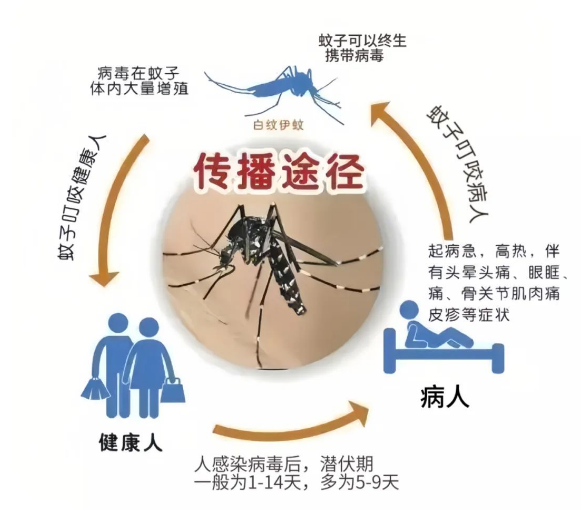最新“蚊子地图”发布，涉及广州22个镇街 最新“蚊子舆图
”发布，涉及广州22个镇街 时时快讯